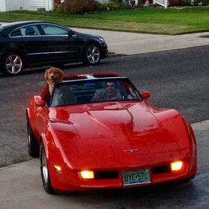 Meet your Posher, Phil